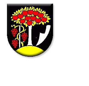 Logo zväzu 1. FC Černík