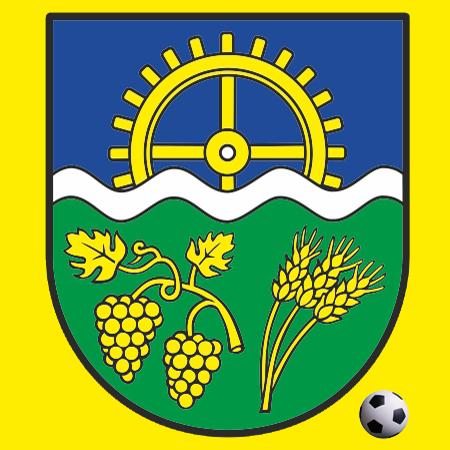 Logo zväzu DFC Moča