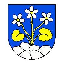 Logo zväzu TJ Diamond Lomná