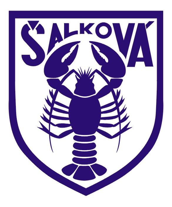 Logo zväzu FK Šalková