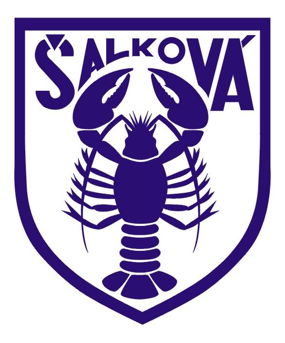 FK Šalková B U11