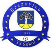 Logo zväzu FK TJ Sokol Brezovica
