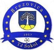 FK TJ Sokol Brezovica U13