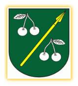 Logo zväzu TJ Medzianky