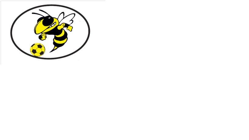 Logo zväzu Naše PODHORIE o.z.