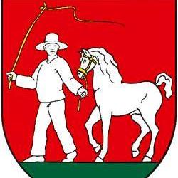 Logo zväzu OŠK Zemplínske Hradište