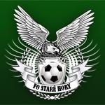 Logo zväzu ŠK Sokol FO Staré Hory