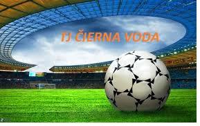 Logo zväzu Telovýchovná jednota Čierna Voda