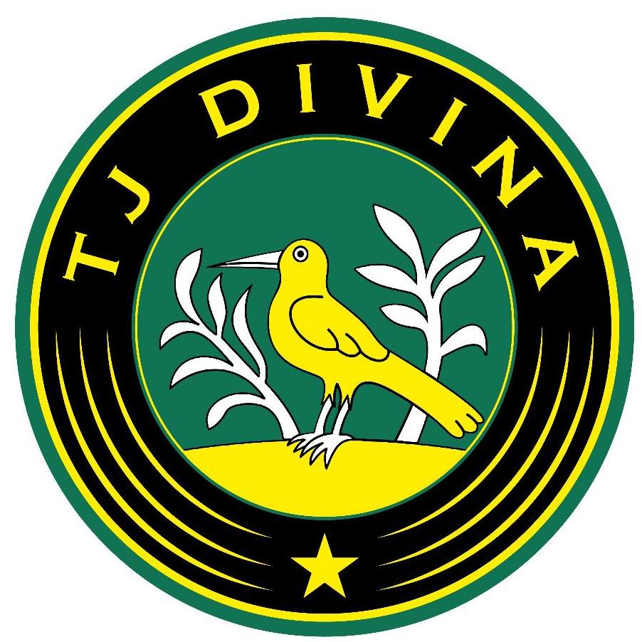 Logo zväzu TJ Divina