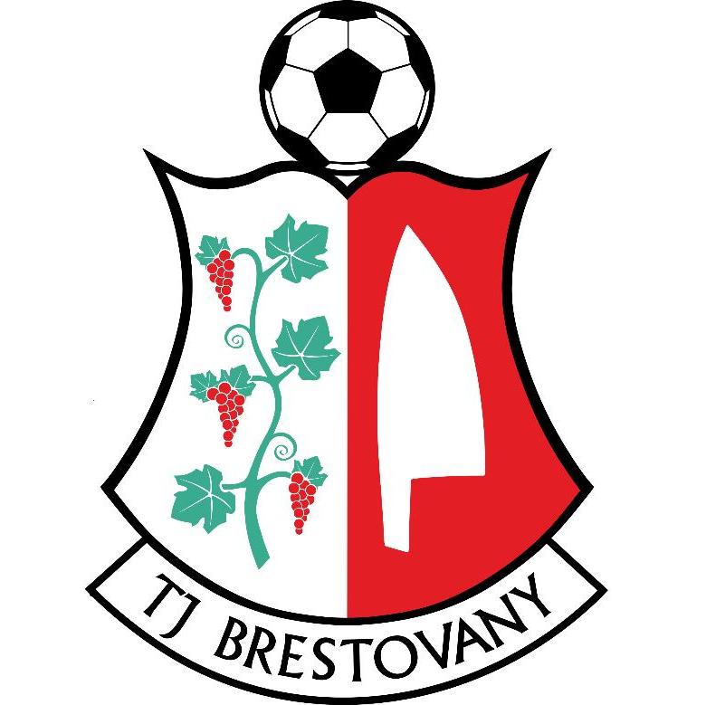 Logo zväzu TJ Družstevník Brestovany