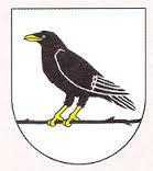 Logo zväzu TJ Družstevník Stuľany