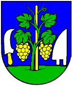 Logo zväzu TJ Družstevník Tekovské Nemce