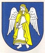 Logo zväzu Telovýchovná jednota Veličná
