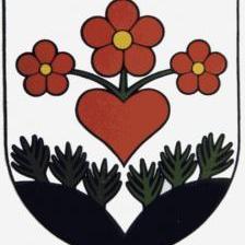Logo zväzu TJ Partizán Miezgovce