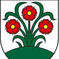 Logo zväzu TJ Partizán Vrchteplá