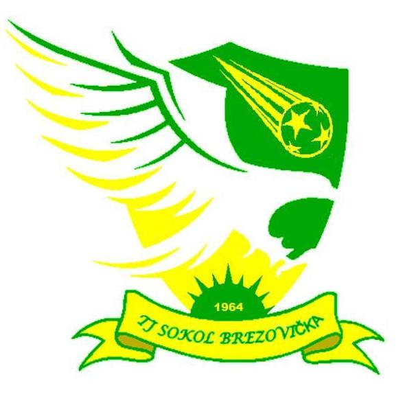 Logo zväzu TJ Sokol Brezovička