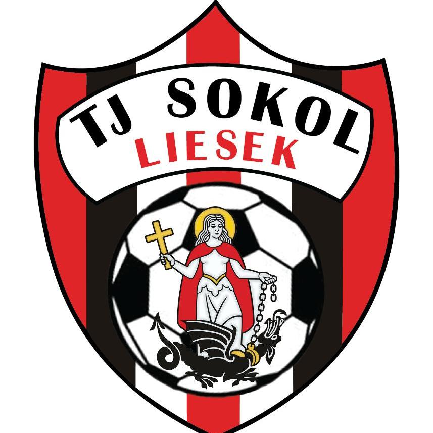 Logo zväzu TJ Sokol Liesek