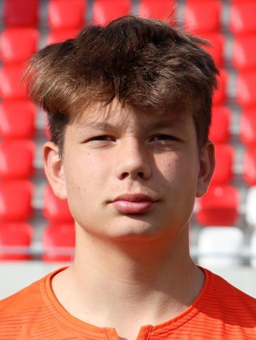 Michal Viktorín