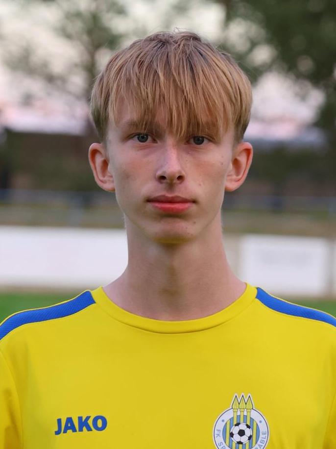 Michal Šulka