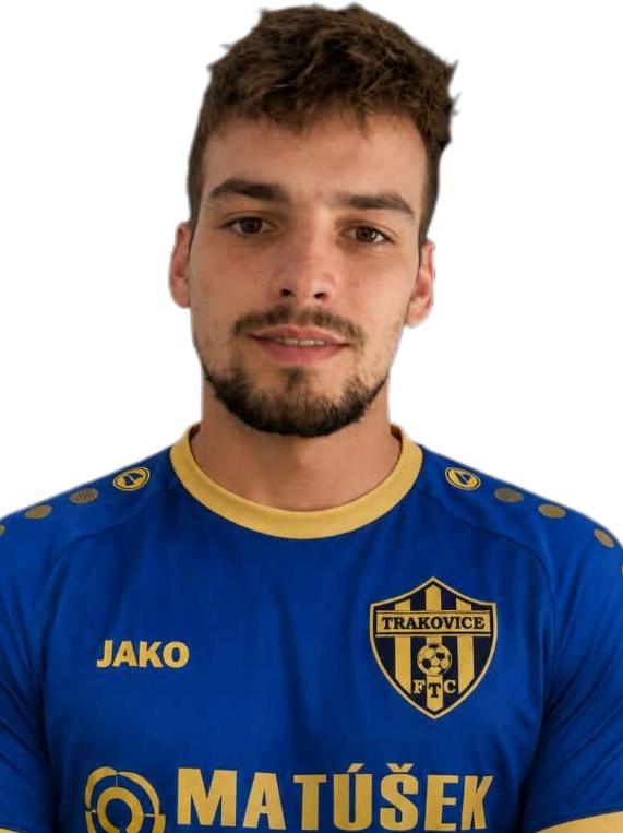 Denis Paulovič