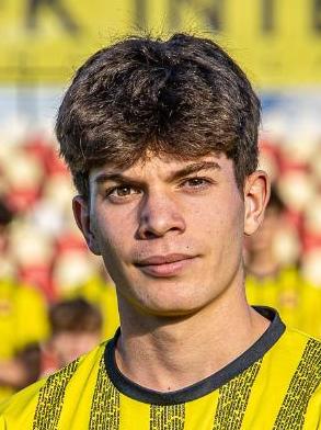 Dominik Hullman