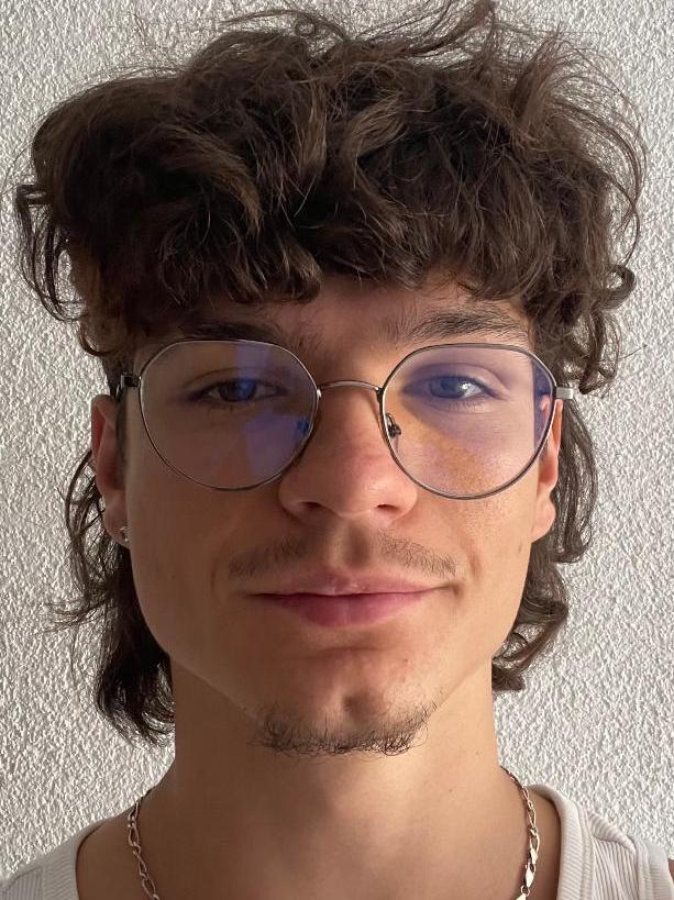 Enrico Šulva