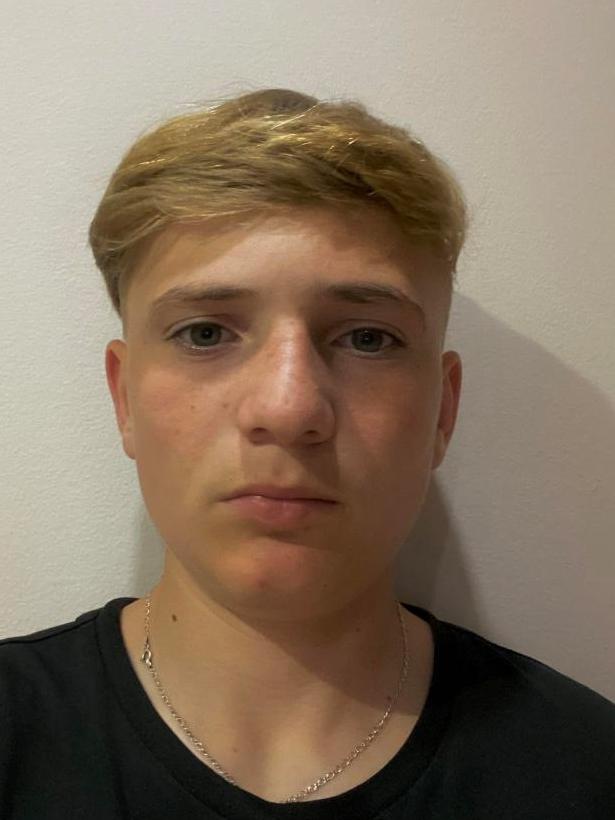 Alex Kurtiš