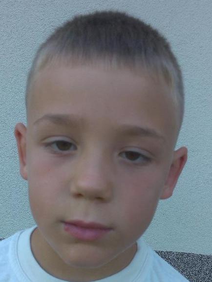 Nikolas Domin