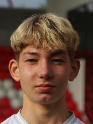 Milan Vicena