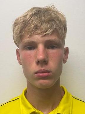 Alex Hreňko