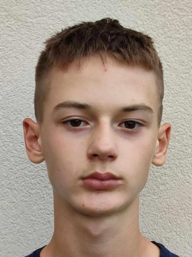 Viktor Svitek