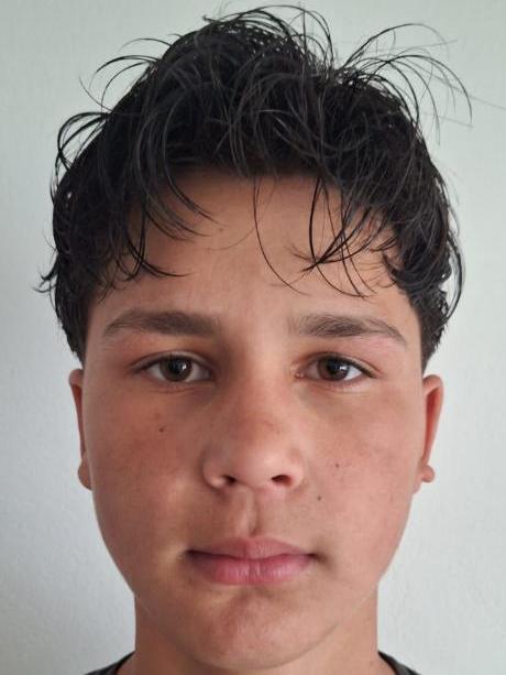 Milan Salai
