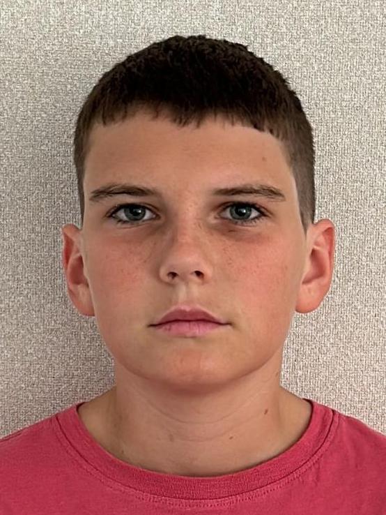 Ladislav Danis