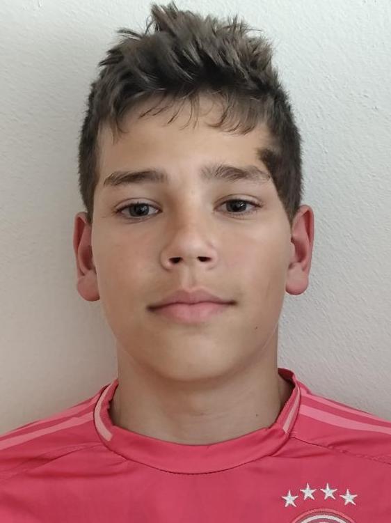 Dominik Cingel