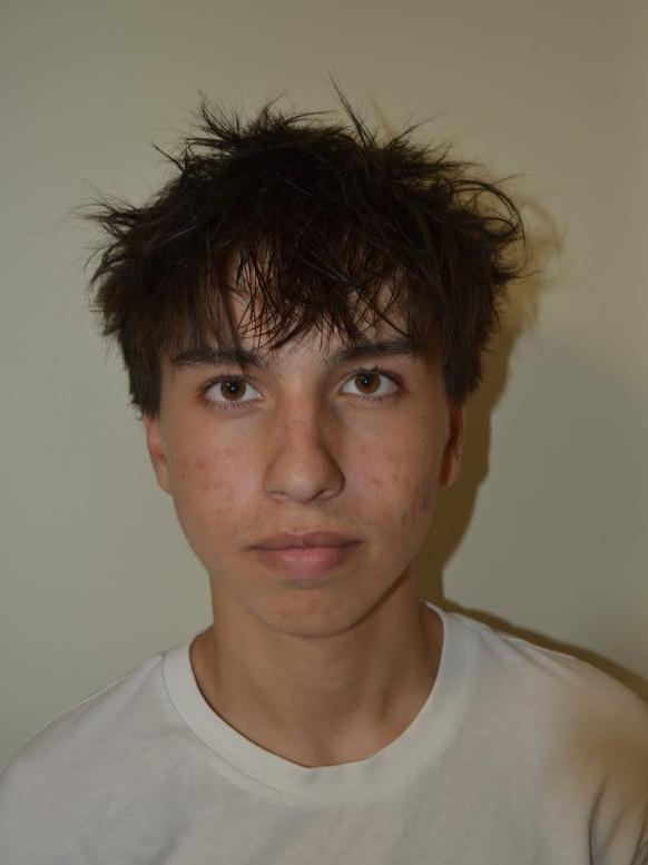 Dávid Brežný