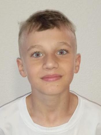 Hugo Veselovský