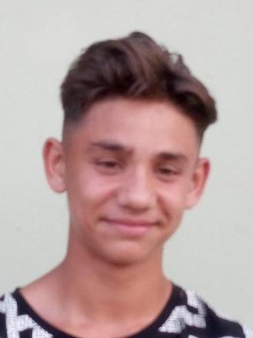 Dominik Žiga