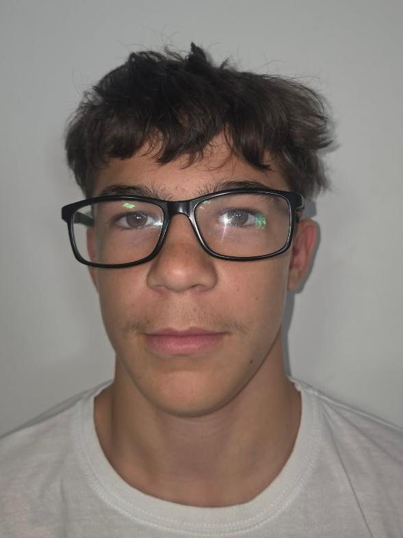 Alex Görcs