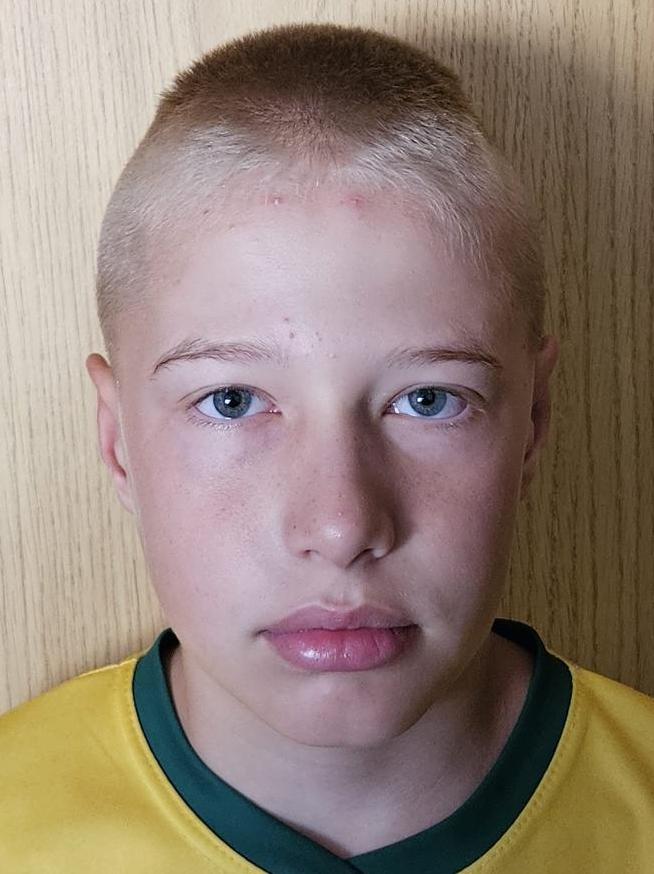 Ján Bednárik