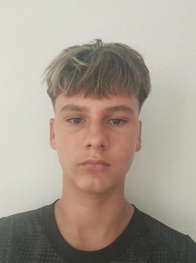 Denis Škreno