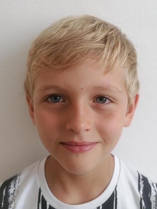Dominik Stehura