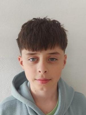 Šimon Hipš