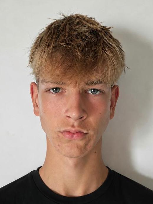 Dário Šaro