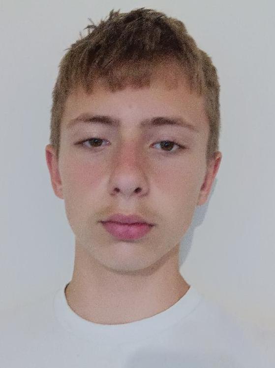 Stanislav Žibek