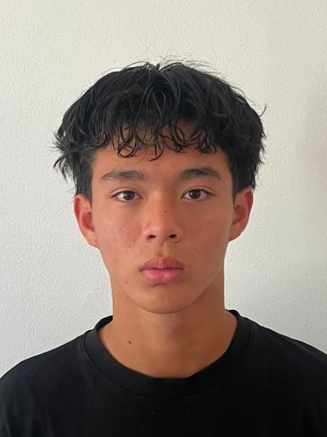 Dang Van Róbert Junior Anh