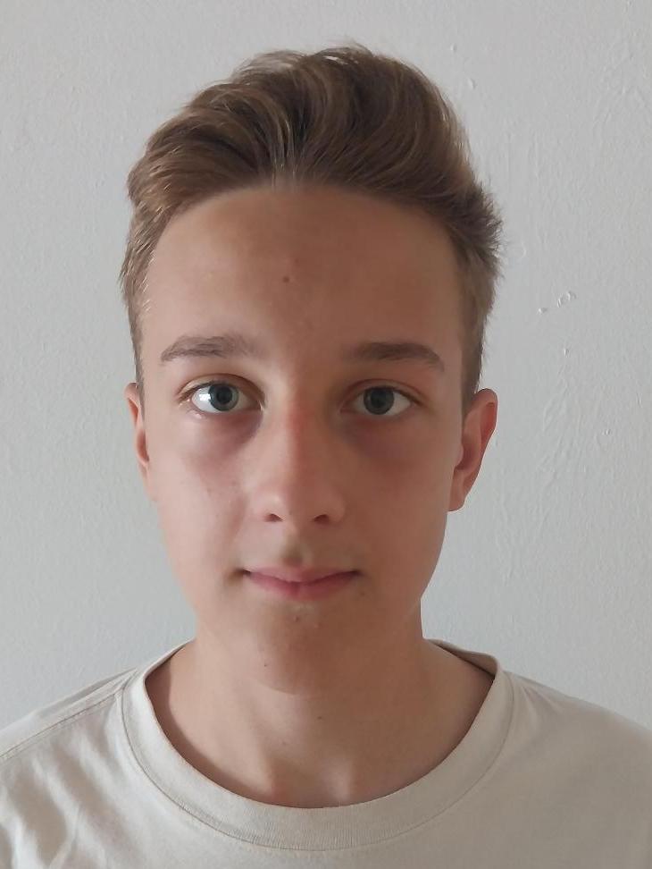 Illia Peregudov