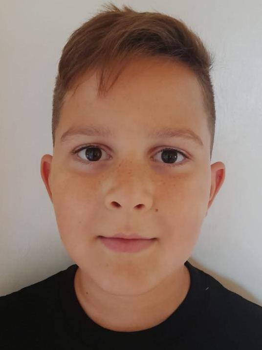 Šimon Domanik