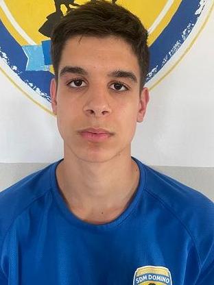 Vasilije Milenković