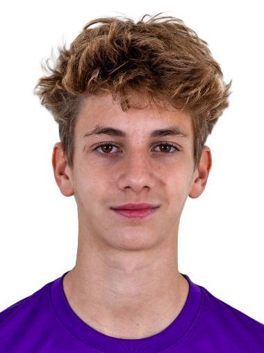 Levente László Melis