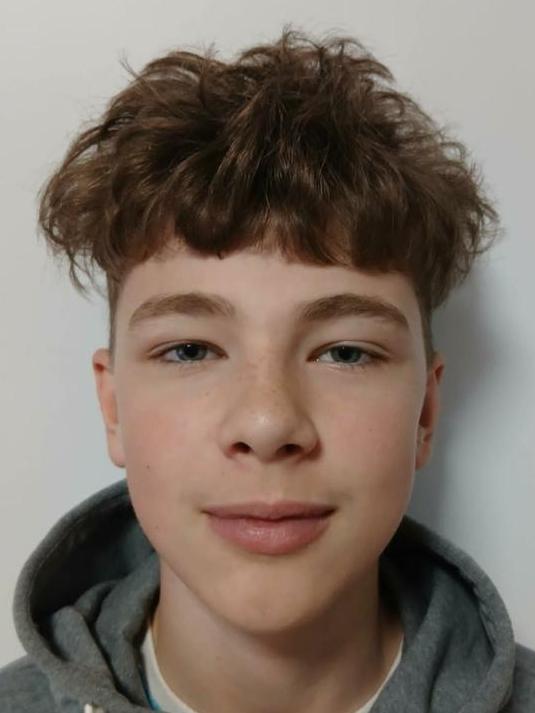 Sebastian Alex Alušík